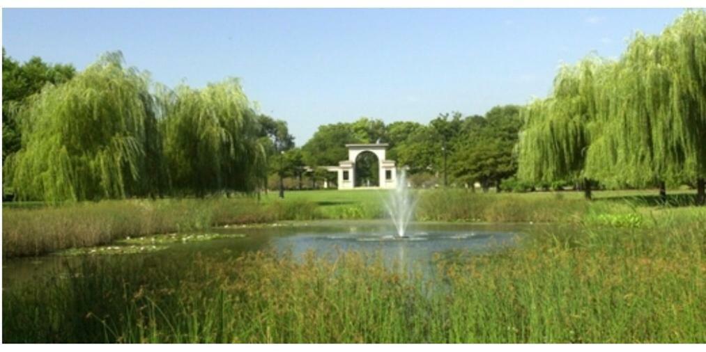 Perfect Place To Enjoy The City Or Just Relax Chicago Zewnętrze zdjęcie